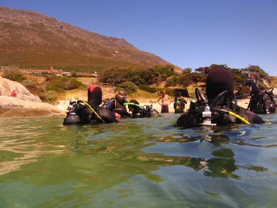 Pisces Divers-西门镇必去景点