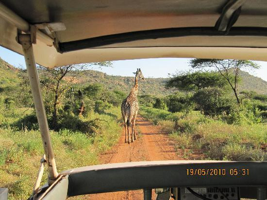 F. King Tours & Safaris-蒙巴萨必去景点