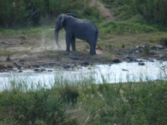 EuroZulu Guided Tours & Safaris-圣露西亚必去景点