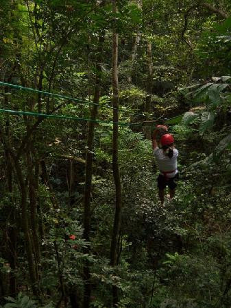 La Marquesa Original Canopy Tour景点图片