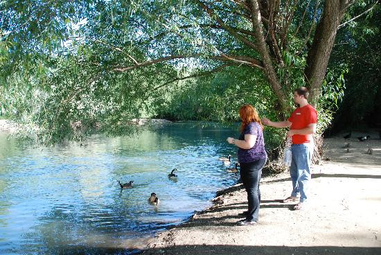 车夫历史农场-盐湖城必去景点