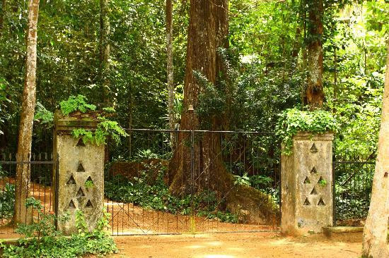Lunuganga Garden Tour景点图片