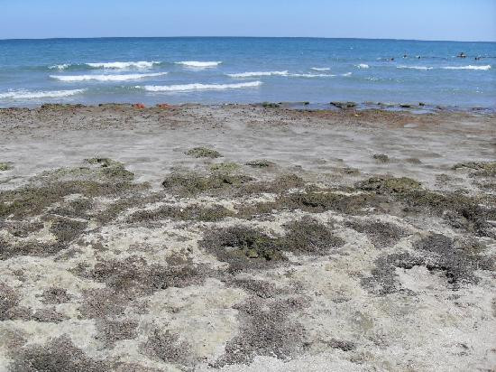 Red Reef Park-博卡拉顿必去景点