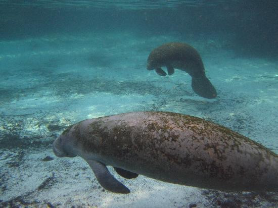 River Ventures-克里斯特尔里弗必去景点