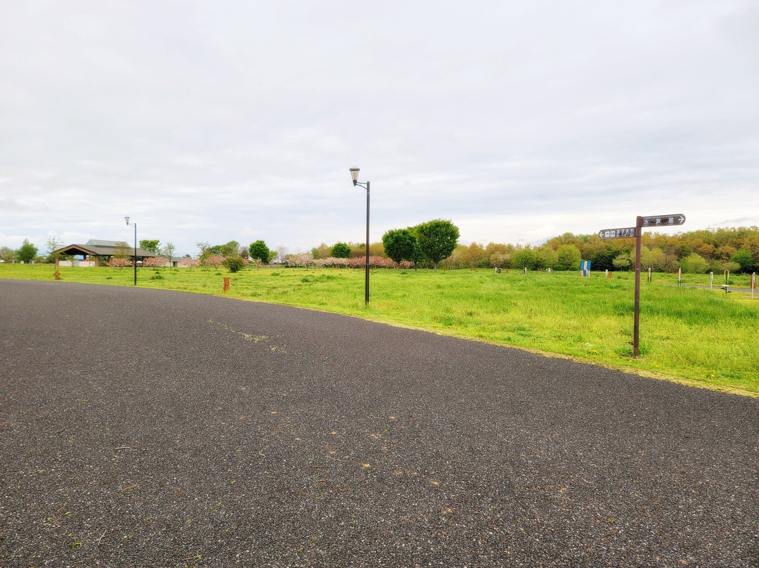 Hanyu Suigo Park-羽生市必去景点