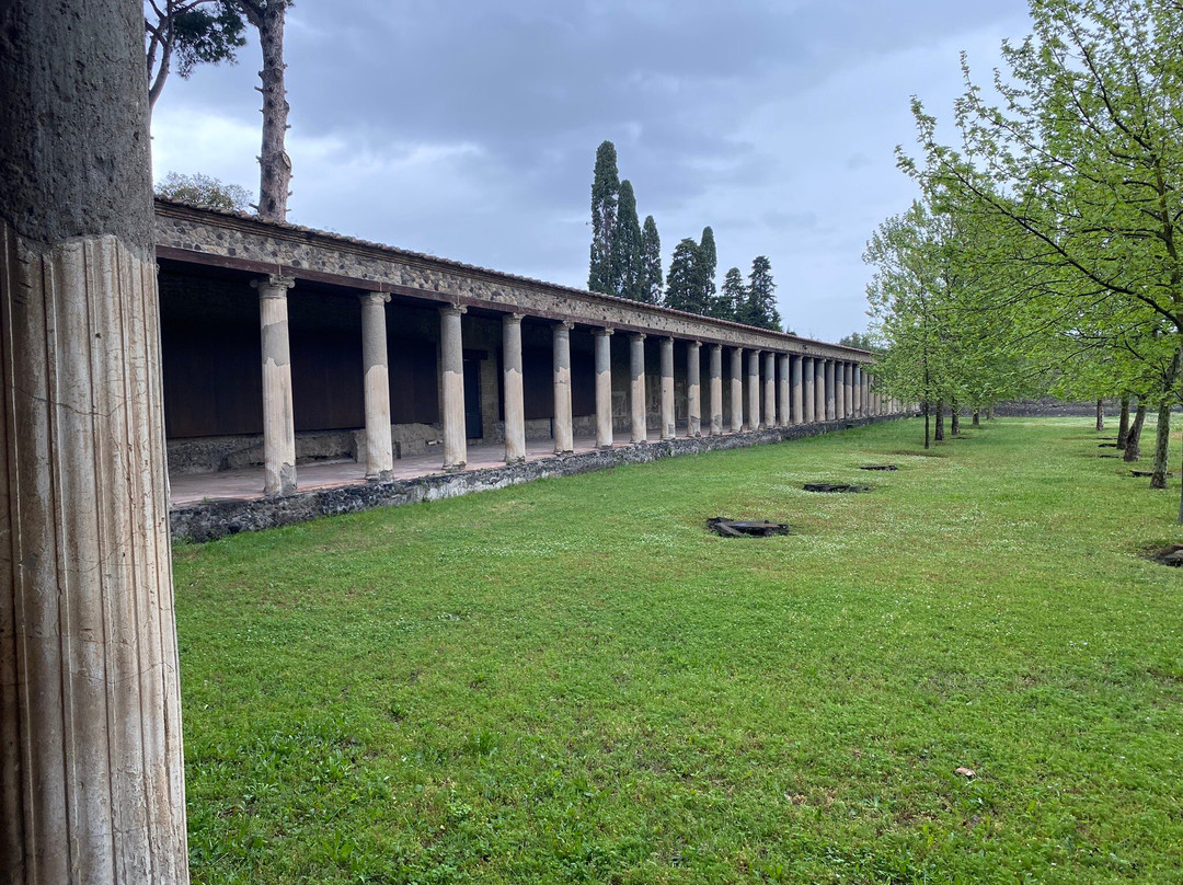 Napoli e dintorni - Archaeological tour guide-庞贝必去景点