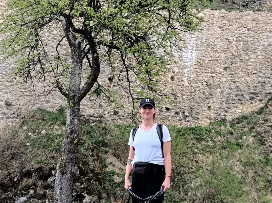 Lietava Castle-Zilina必去景点