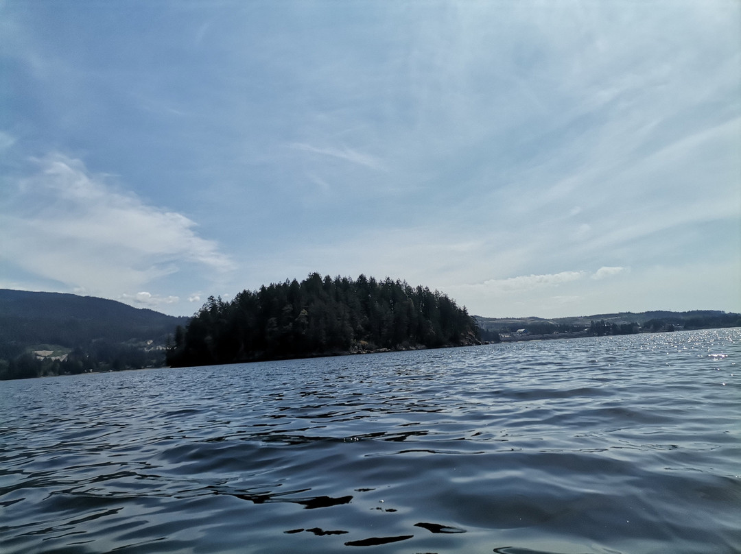 Halfmoon Sea Kayaks-Sechelt必去景点