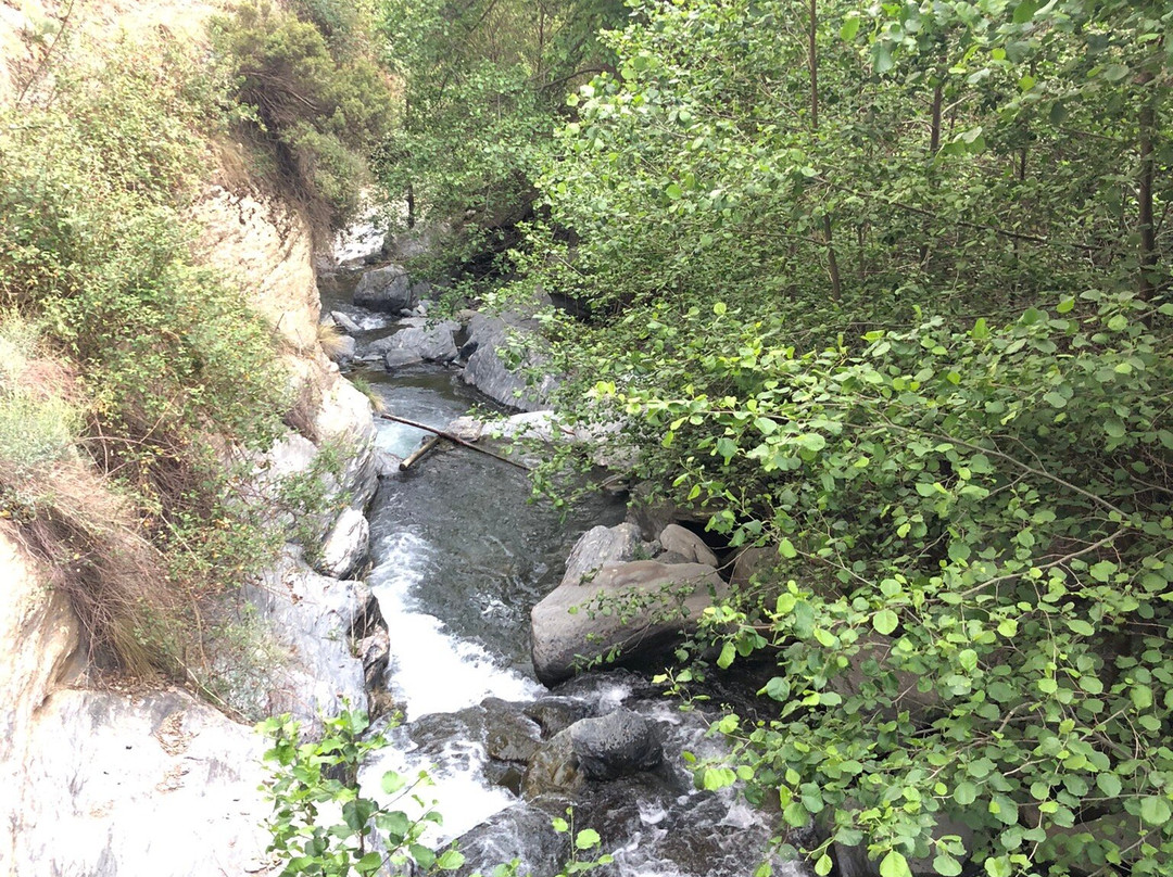 Capileira Mountain Trail景点图片