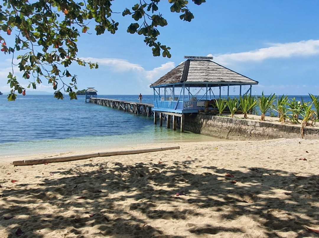 卡迪迪利天堂酒店主图