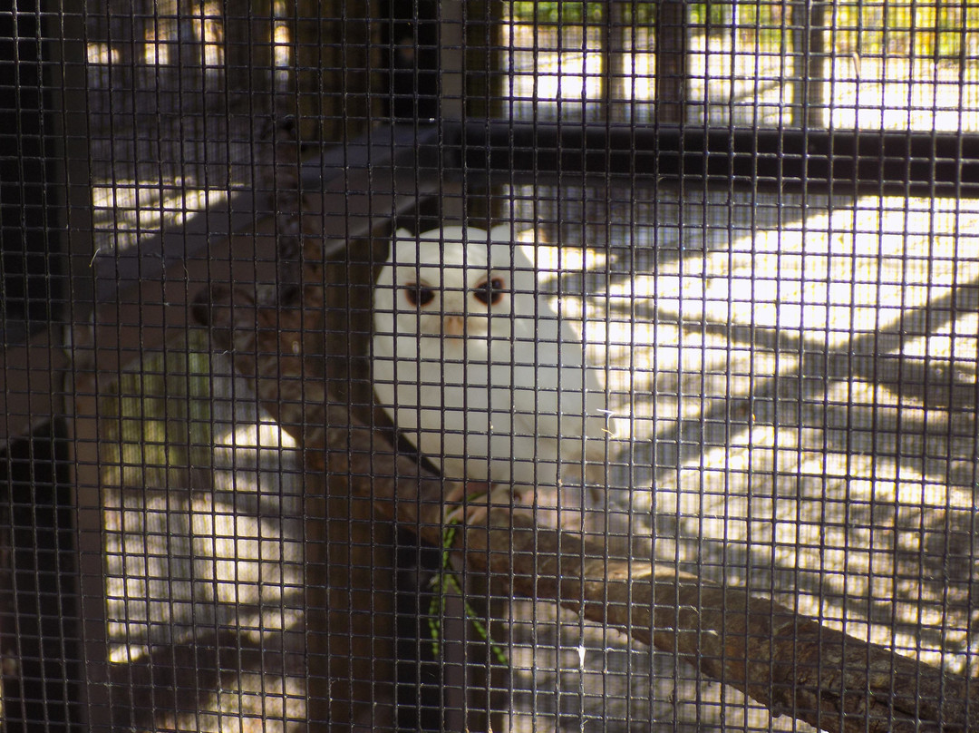 Peace River Wildlife Center-蓬塔戈尔达必去景点
