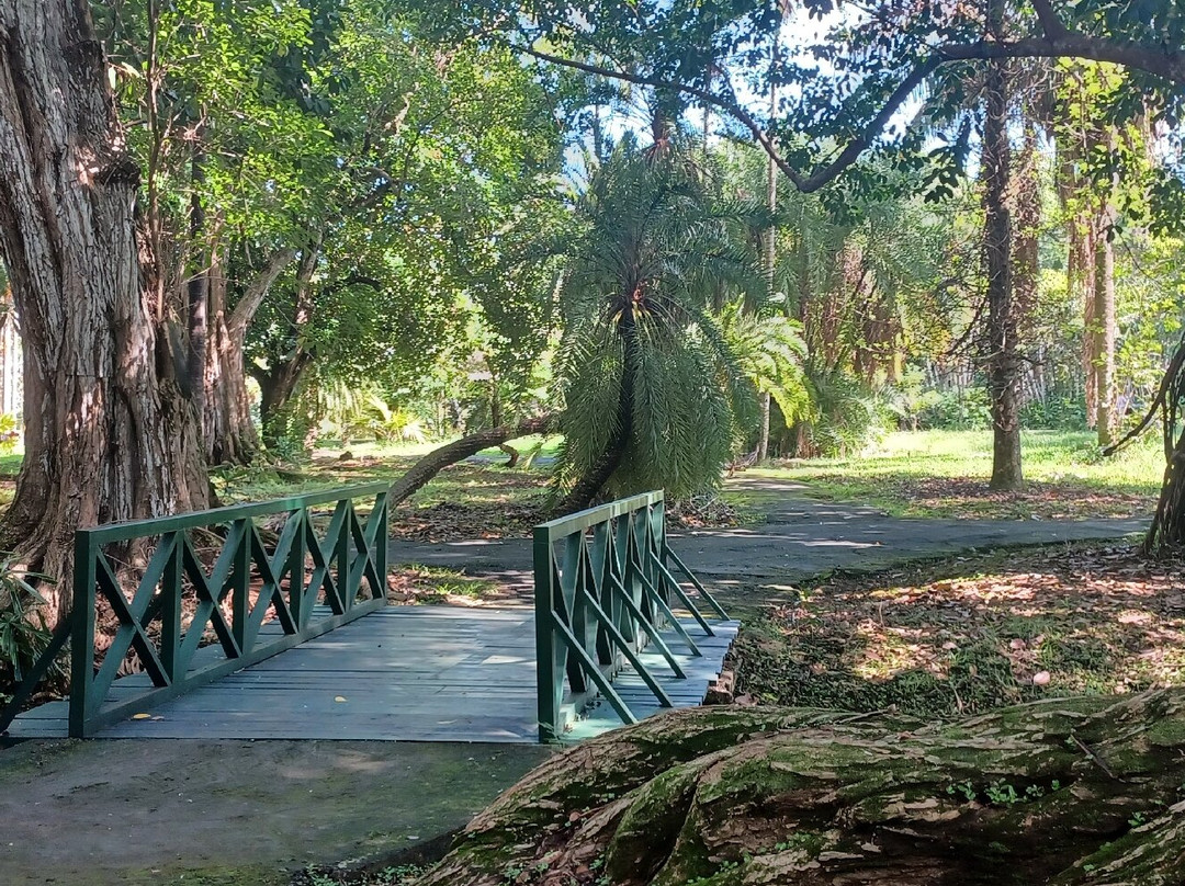 SSR植物园景点图片