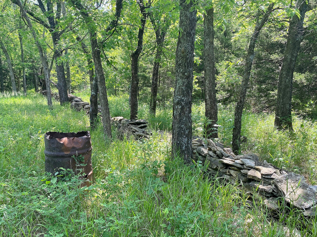 Lehigh Portland Trails-艾奥拉必去景点