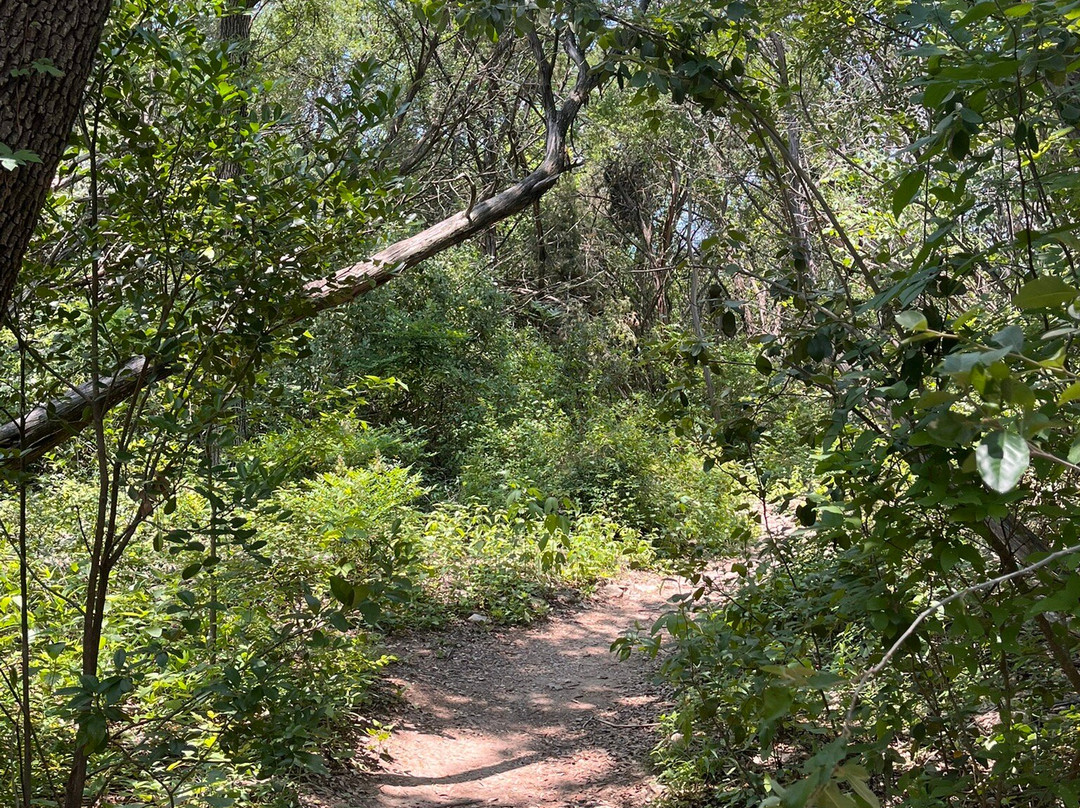 日尔克大都会公园-奥斯丁必去景点