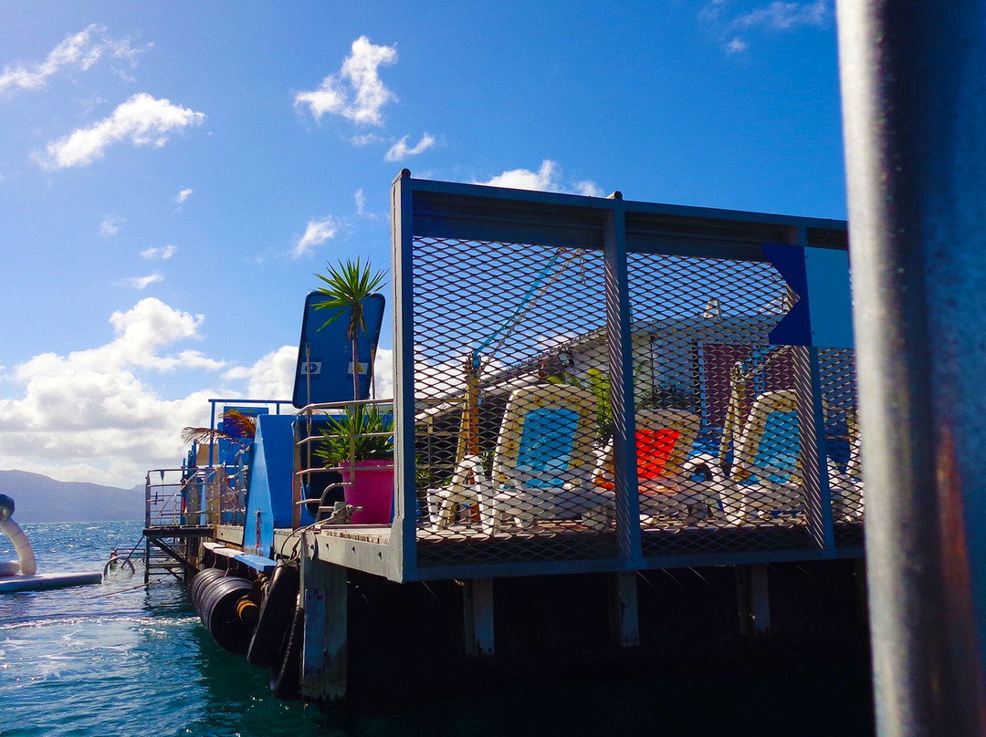 Le Ponton-努美阿必去景点