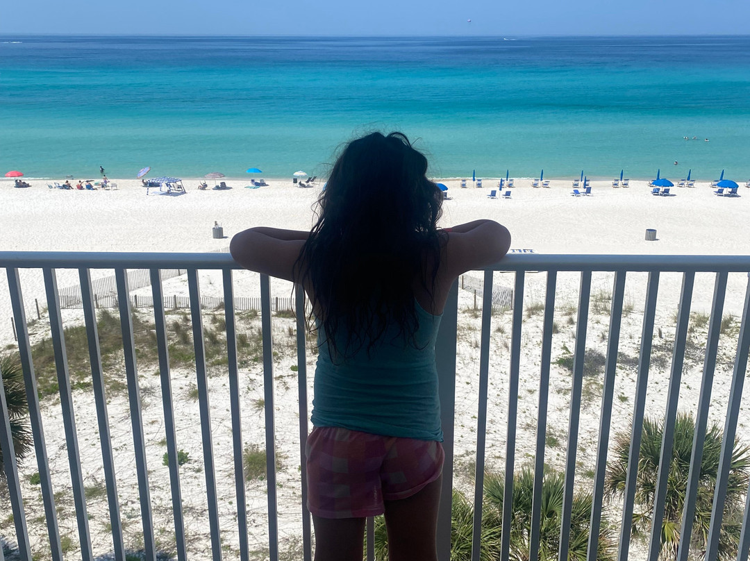 Osprey on the Gulf主图