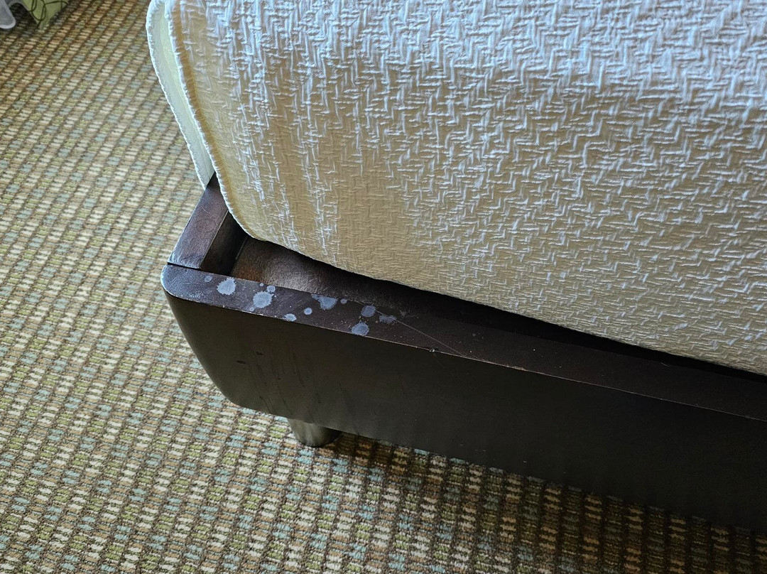 波赛尔/西雅图希尔顿花园酒店主图