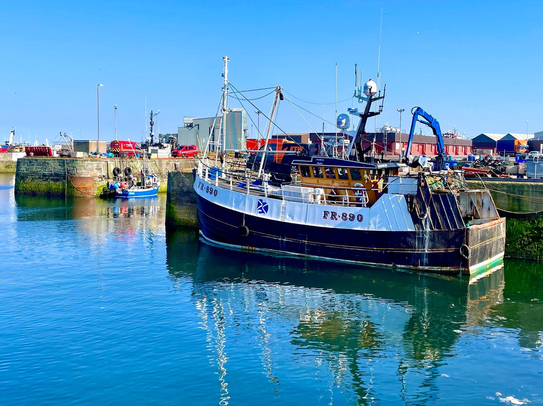 Fraserburgh Harbour-Fraserburgh必去景点