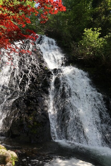 Kosaka Nanataki Waterfall景点图片