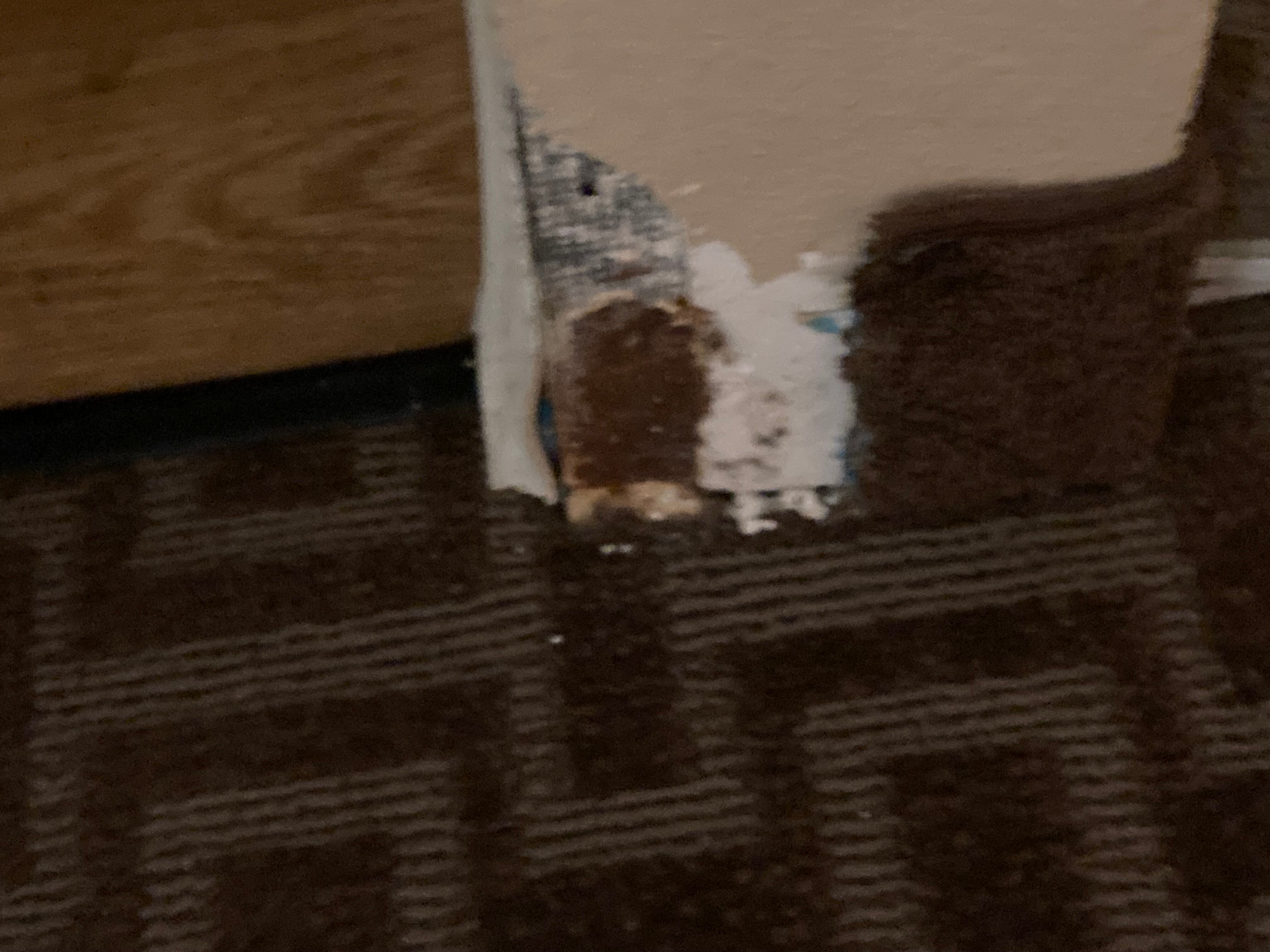 TownePlace Suites by Marriott Seattle Southcenter-客卧