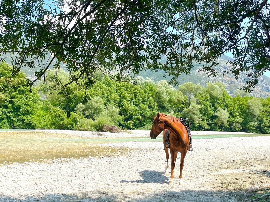 Riverdream Club-Glyki必去景点