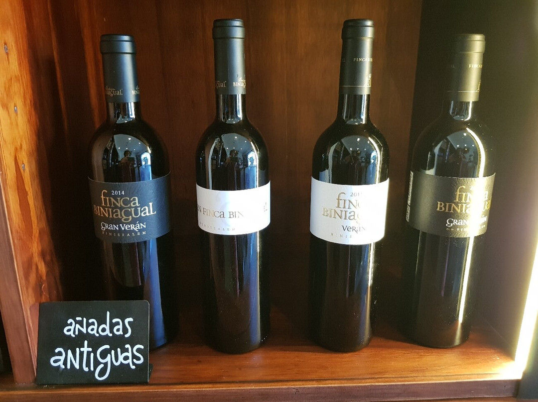 Bodega Biniagual景点图片