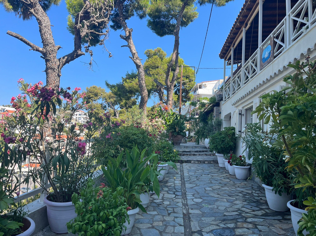 Pension Galazios Kolpos主图