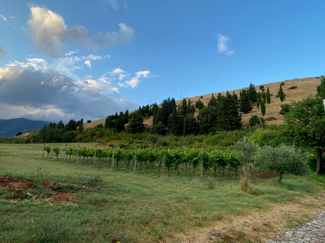 Agriturismo La Fonte主图