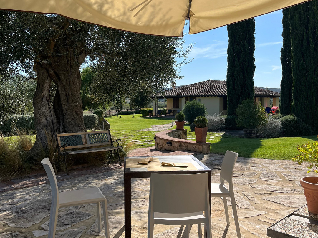 Agriturismo Il Casale degli Olivi主图