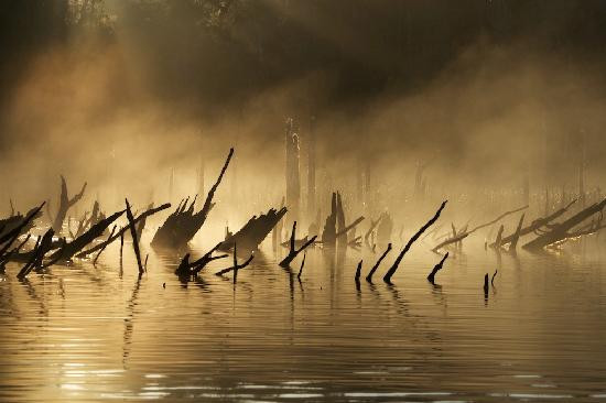 Chepu Adventures-Chepu必去景点
