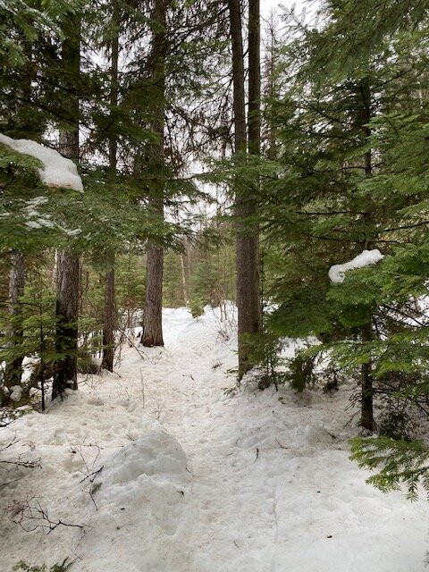 Lupfer Lookout Trail景点图片