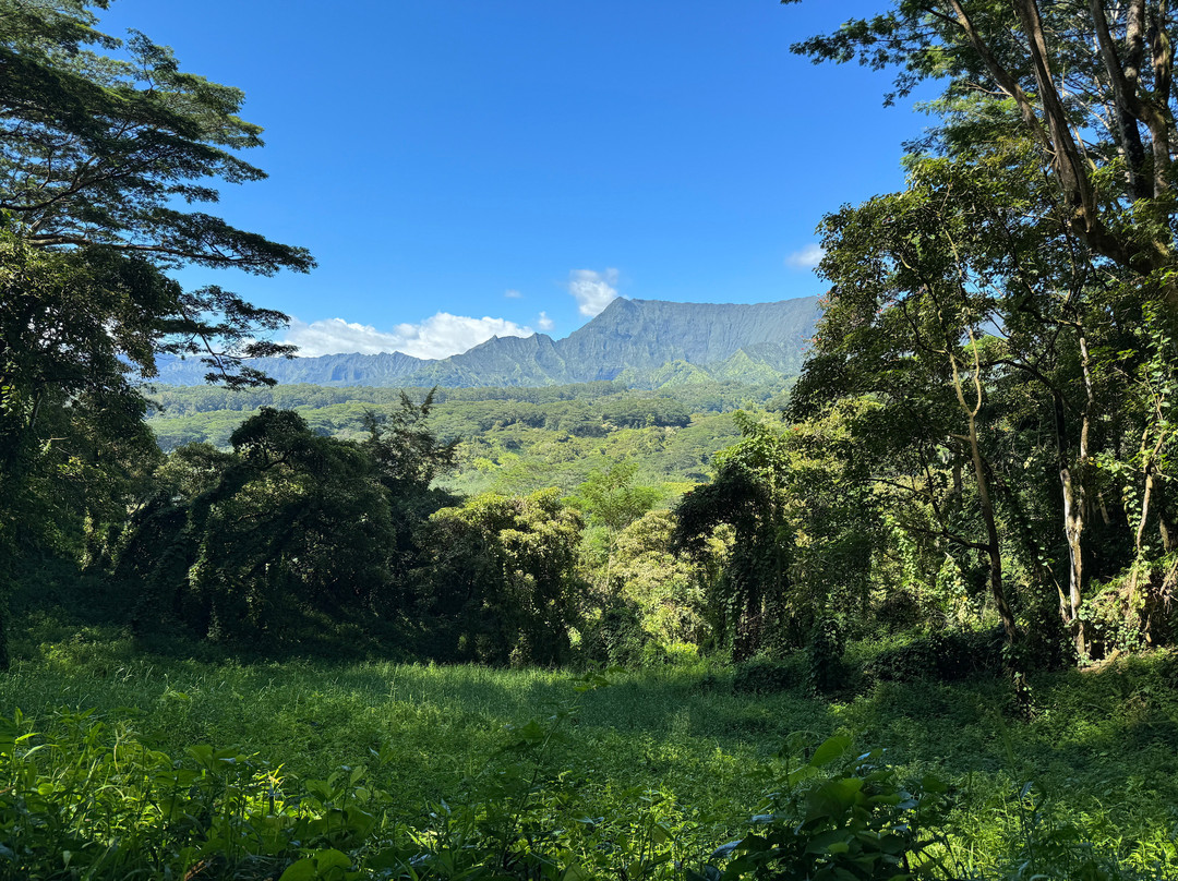 Kuilau Ridge Trail景点图片