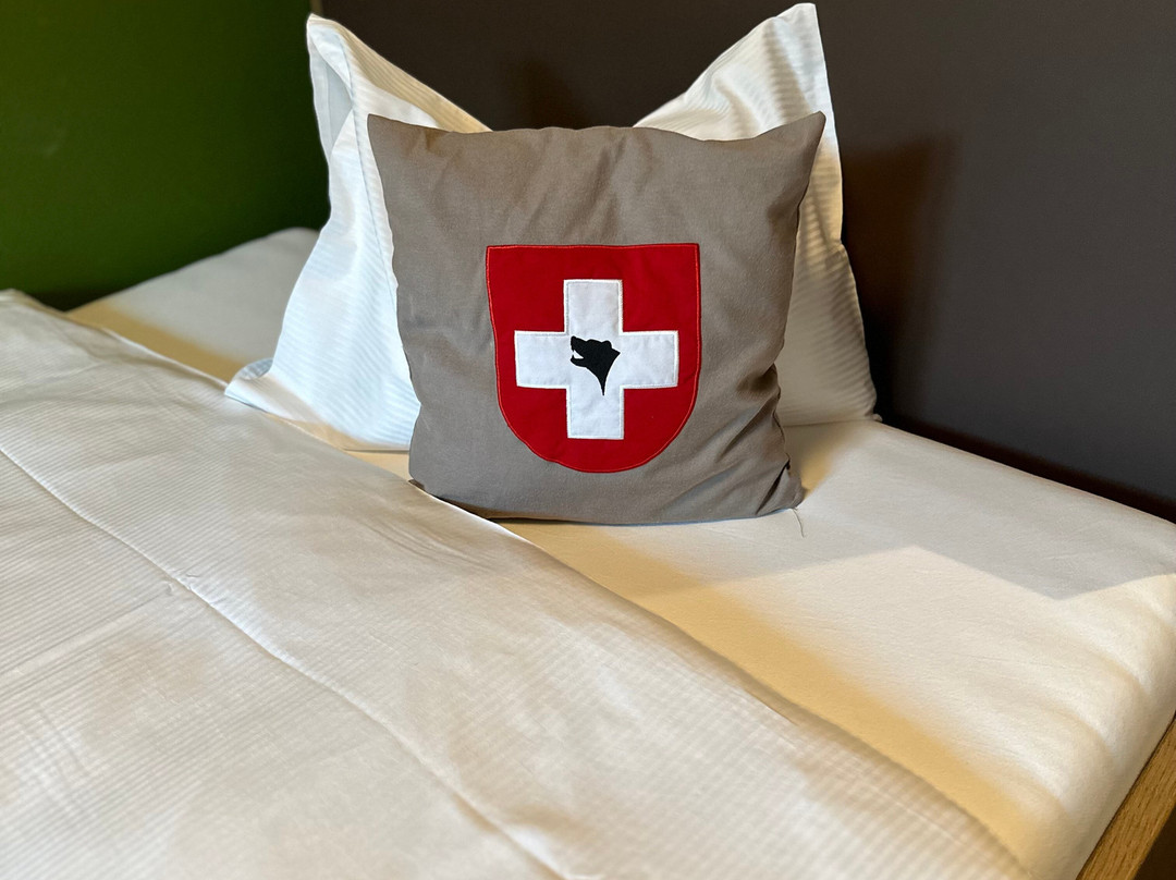 Hotel Bären am Bundesplatz主图