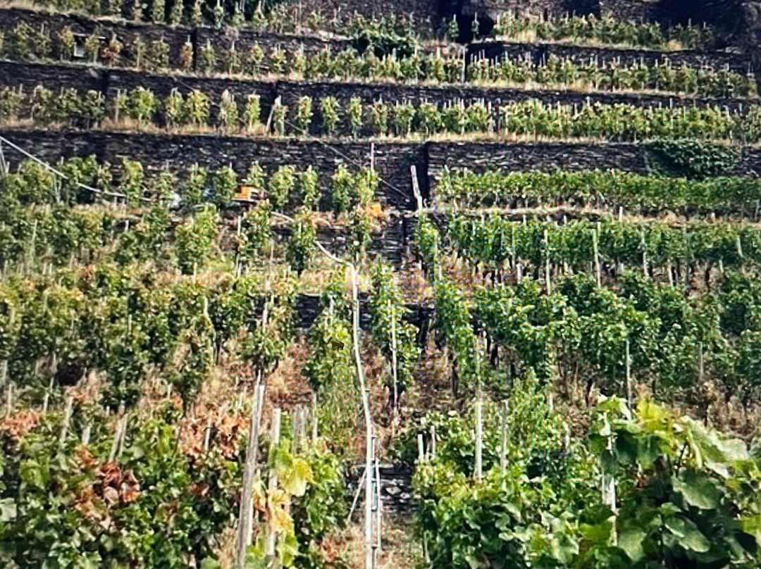 Weingut Kreuzberg-Dernau必去景点