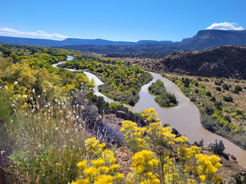 2 Wheels Deluxe-长滩必去景点