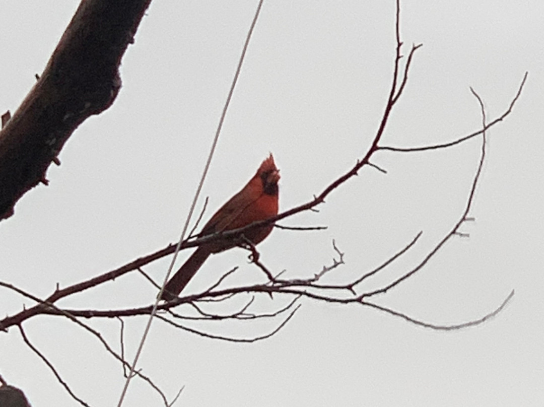 Echo Canyon Spa Resort主图