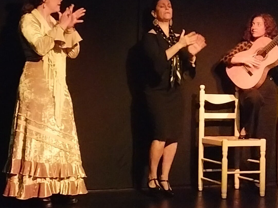 Tablao Flamenco La Exclusiva-塞维利亚必去景点