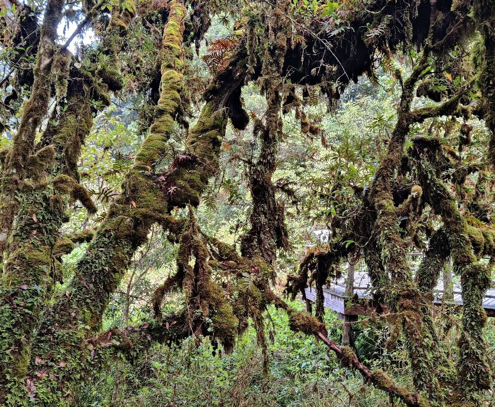 Nature Trails Ang Ka-宗通必去景点