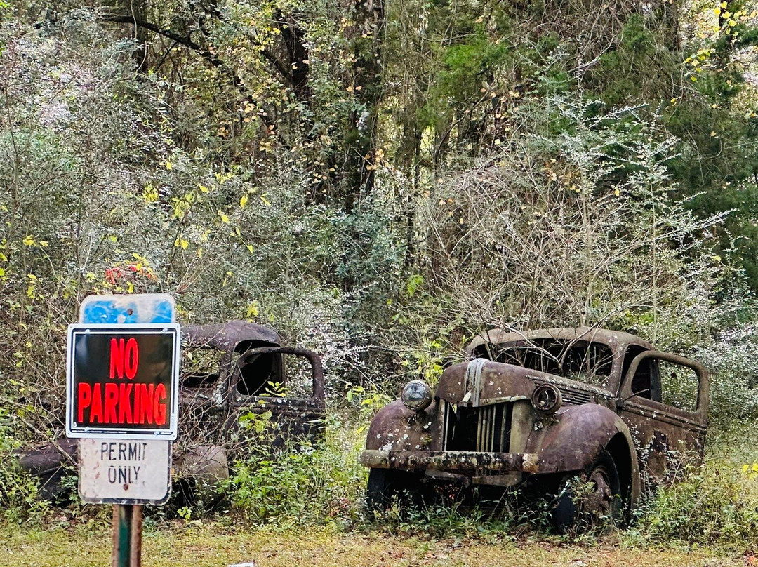 Roadside Rusted Ford Trucks-Crawfordville必去景点