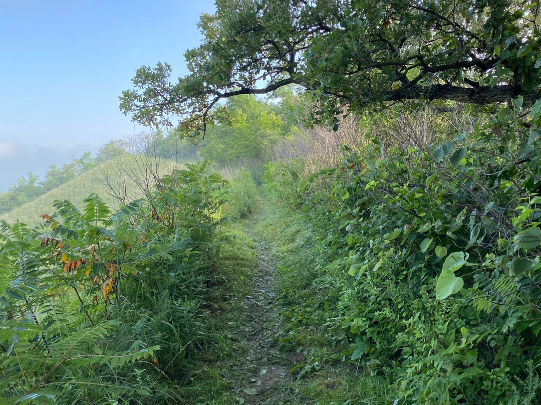 Waubonsie State Park景点图片