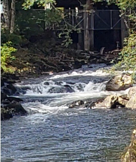 Ketchikan creek and falls-凯奇坎必去景点