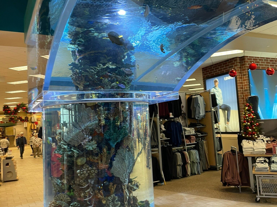 Scheels景点图片
