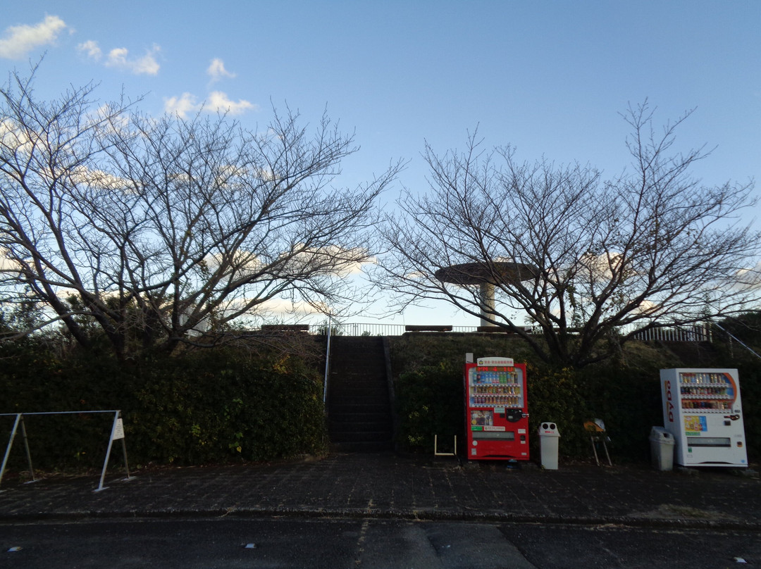 Muroto-Anan Beach National Park-阿南市必去景点