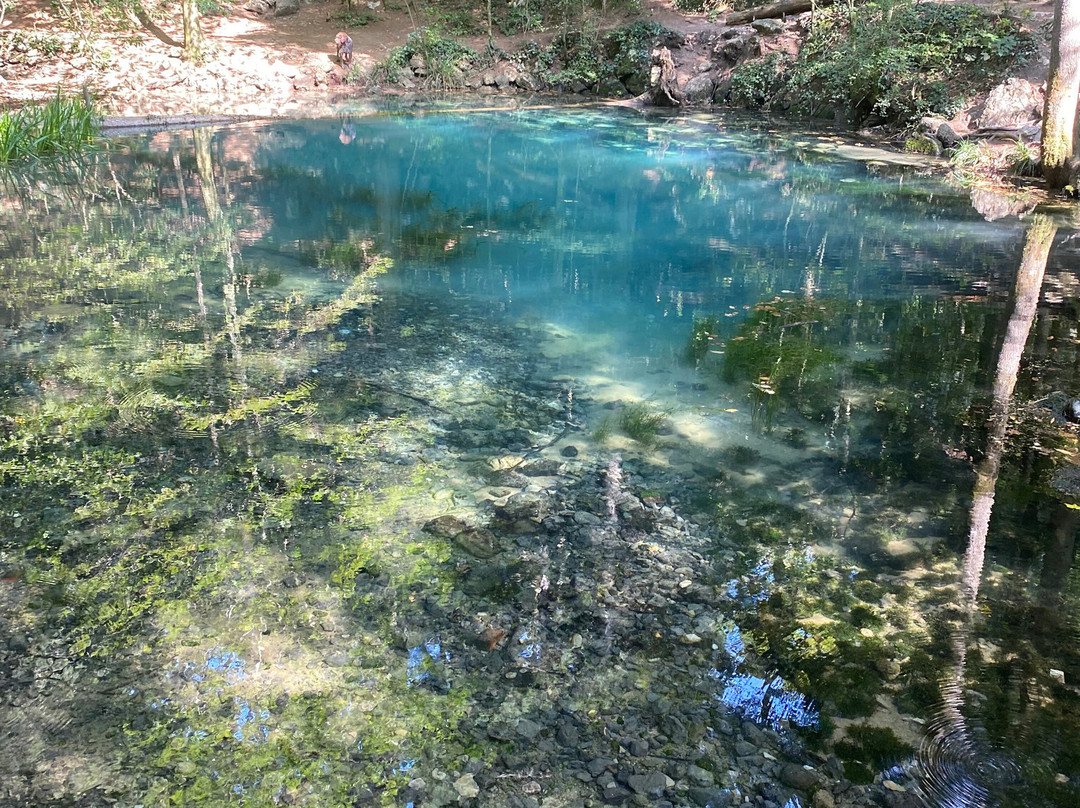 Ochiul Beiului Lake景点图片