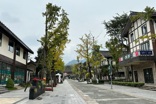 TELLUS特澜斯温泉酒店（青城山店）主图