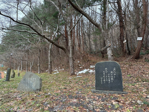 Asamushi Onsen Forest Park-青森市必去景点