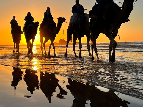 Lima Dromadaire-索维拉必去景点