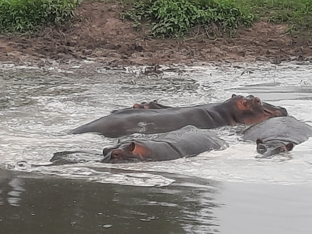 Mothalands Safari Tours Ltd-Iringa必去景点