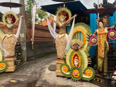 Bali Wander Tours-水明漾必去景点