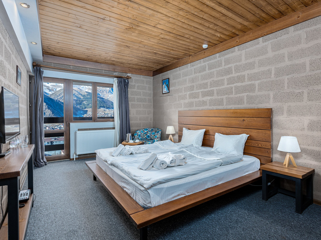 Alpine Lounge Hotel主图